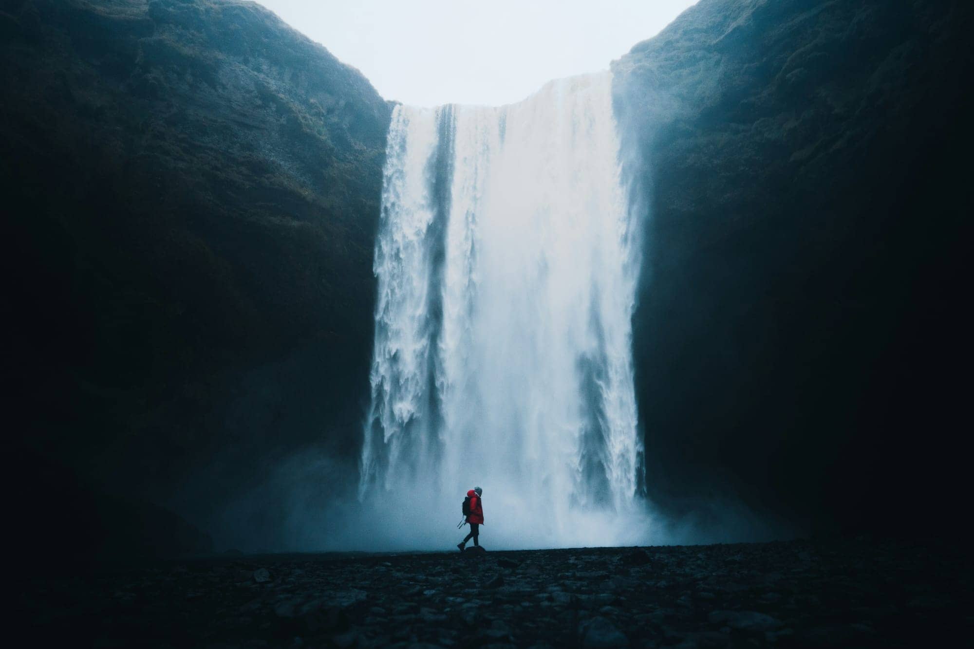 Nonsense and Sensibility