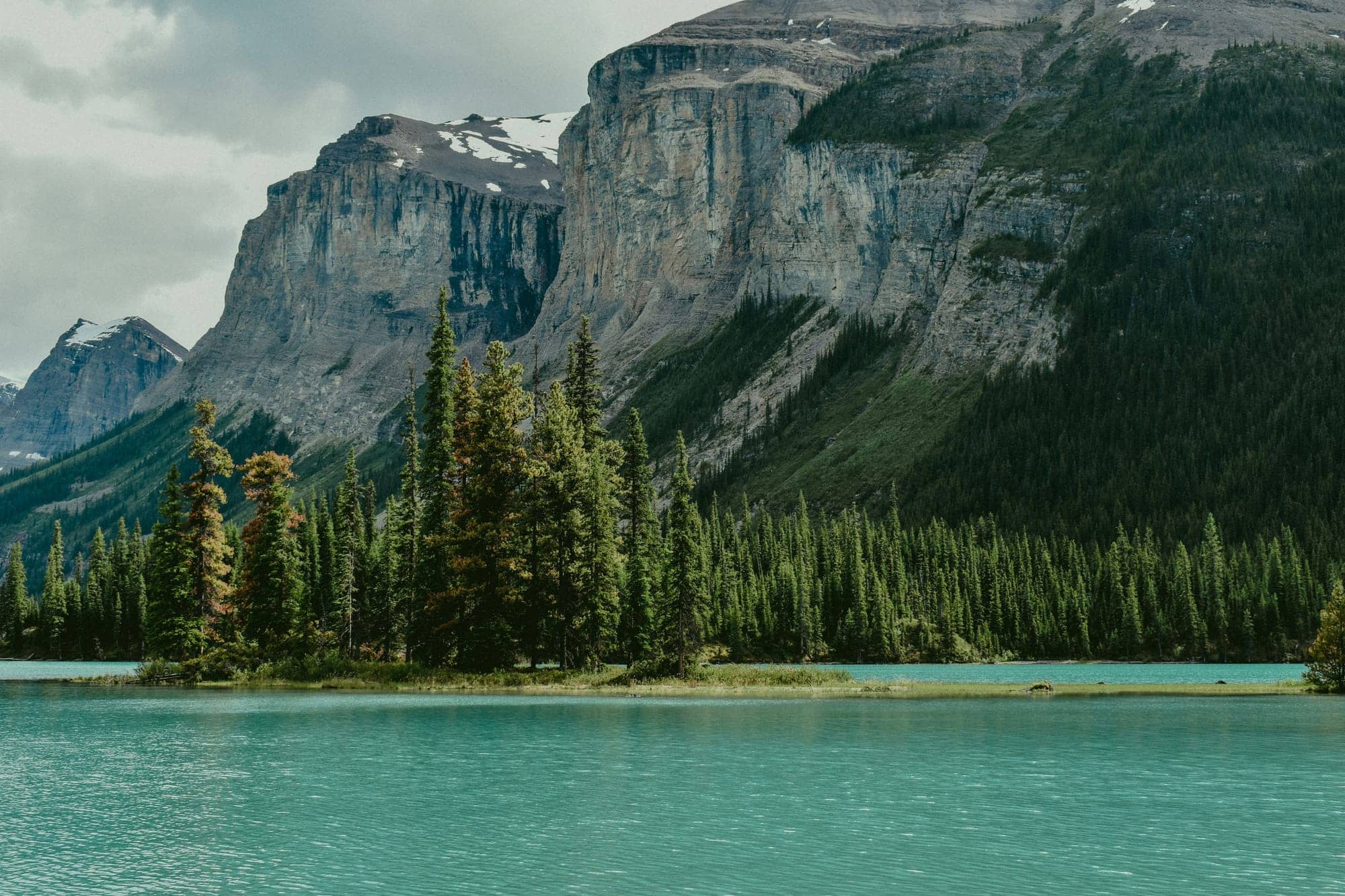 Purpose Investments Announces Special Meeting of Purpose Select Equity Fund to Transition to New Manager and Trustee and Certain Other Proposals