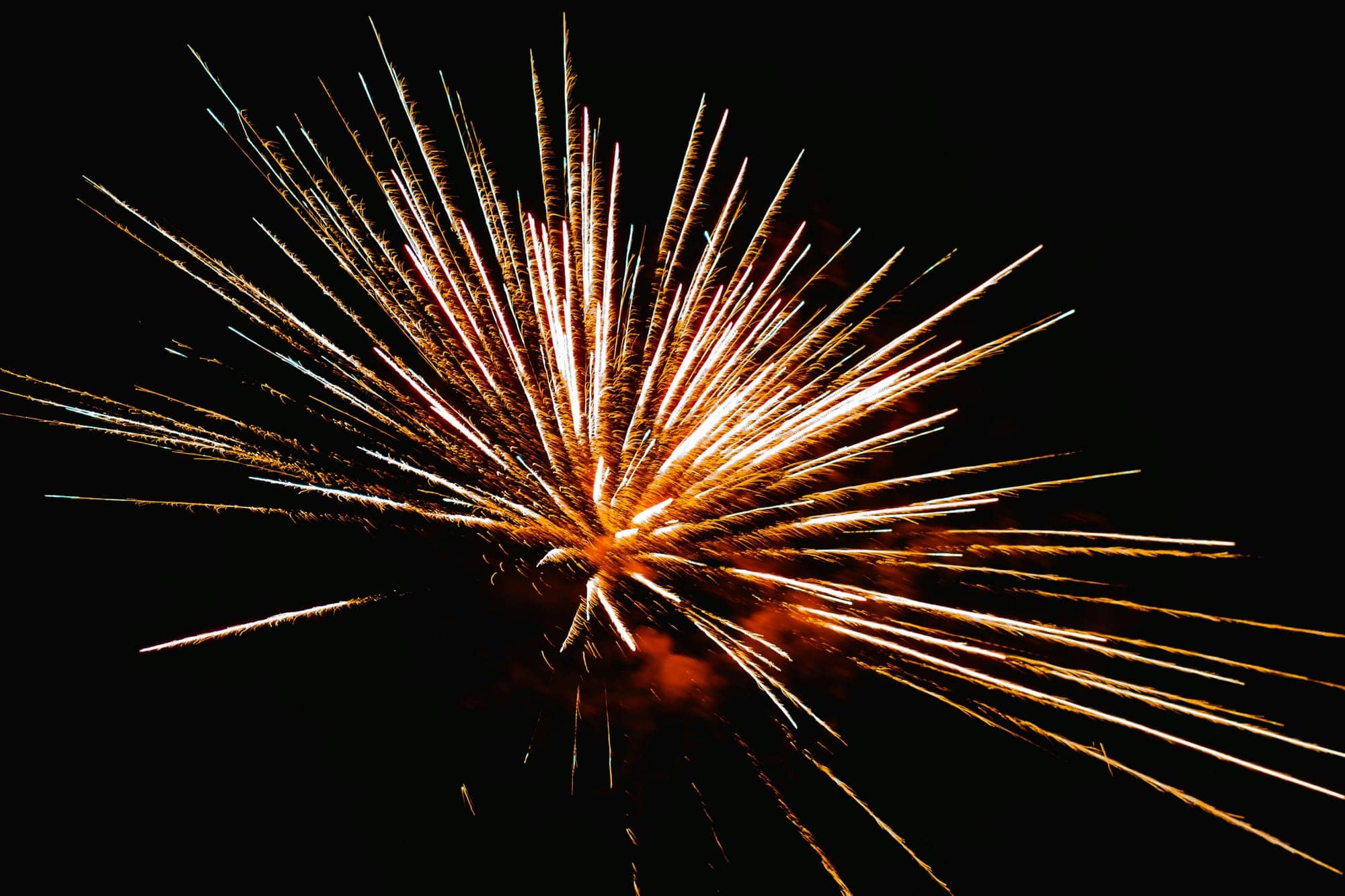 Purpose Investments Announces 2025 Estimated Annual Income and Capital Gains Distributions