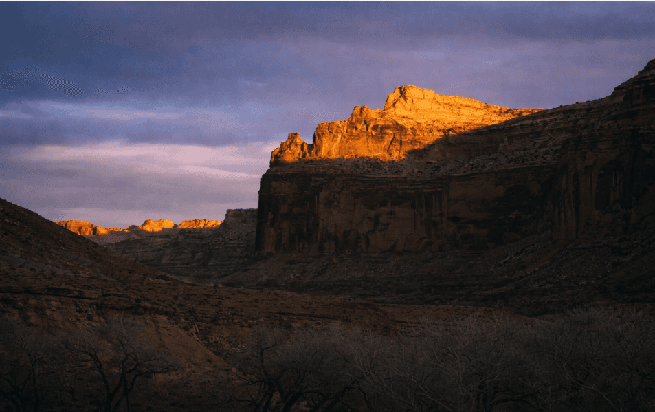 Markets Get Claude'd