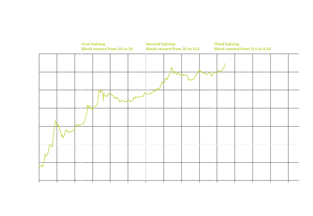 Bitcoin halving chart from 2010 price USD