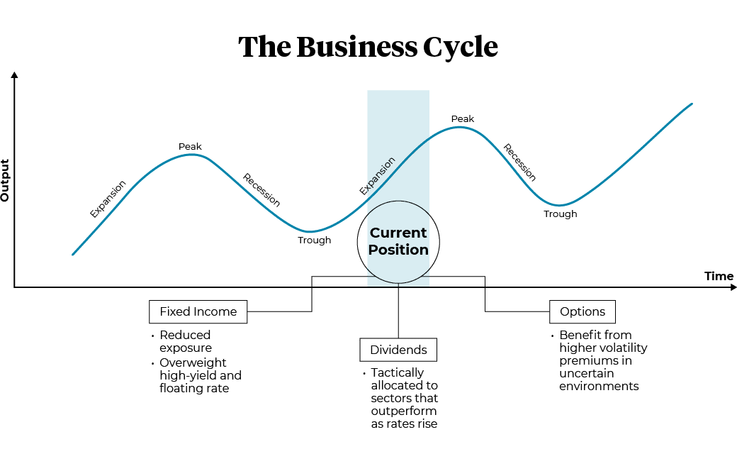 The business cycle