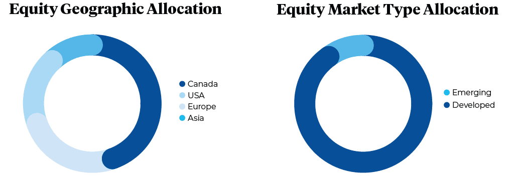 Equity geographic allocation and equity market type allocation