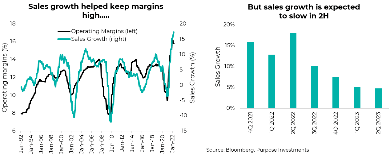 Sales growth helped keep margins high. But sales growth is expected to slow 2H