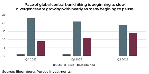 Pace of global central bank hiking is beginning to slow divergences are growing with nearly as many beginning to pause