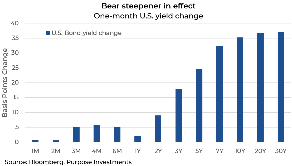 Le raidisseur d’ours en vigueur