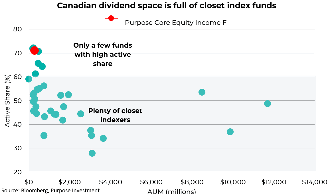 Canadian dividend space is full of closet index funds