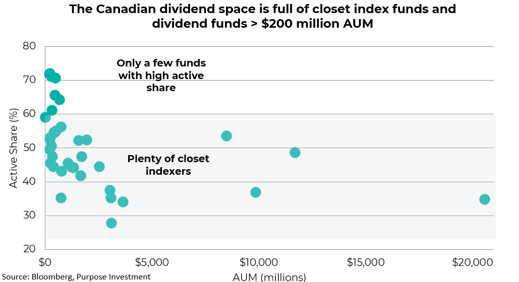 The Canadian dividend space is full of closet index funds and dividend funds