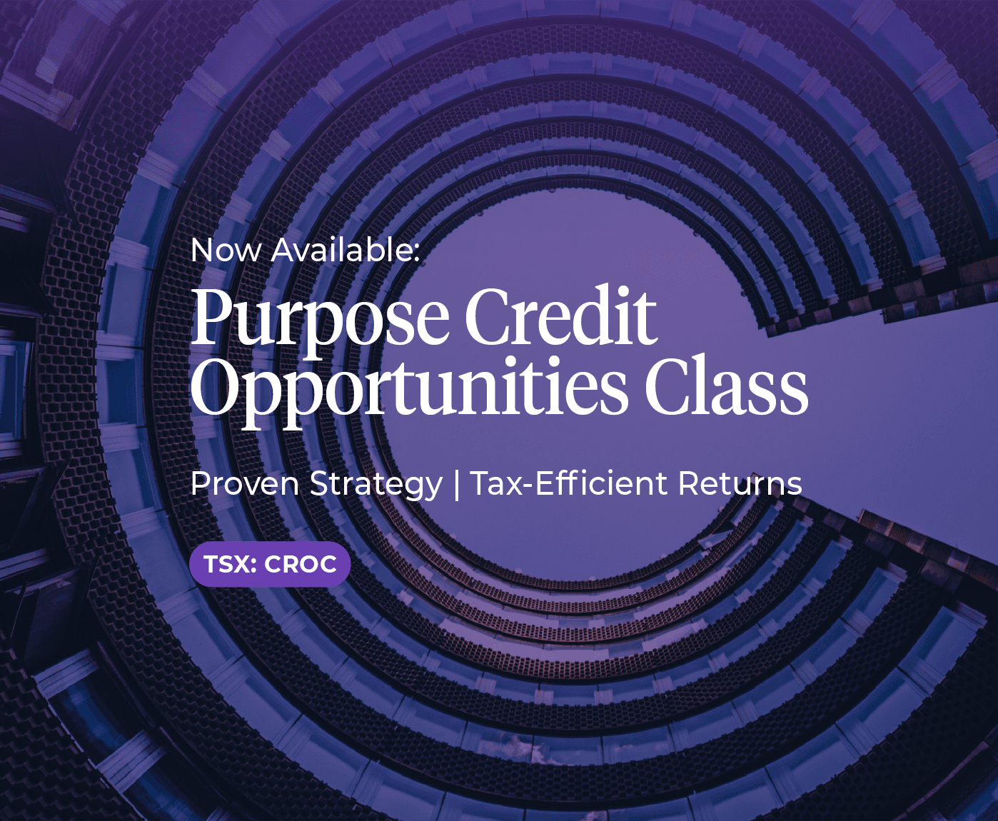 Banner Image - CROC Launch